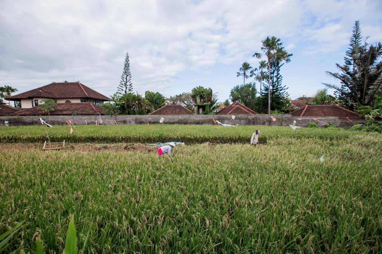 Villa Piece Of Peace Private 3Br With Large Pool And Garden Canggu Buitenkant foto